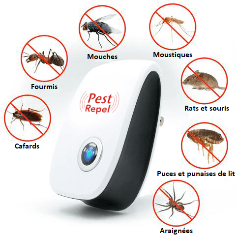 PRISE ANTI-NUISIBLES RAMPANTS ET VOLANTS